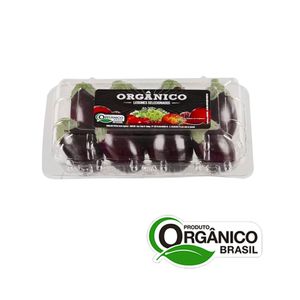 Berinjela Orgânica RIO BONITO 500g