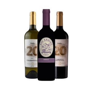Kit com 3 Vinhos: Vinho Tinto RIO ANDINO Shiraz, Vinho Tinto TONEL 20 Cabernet Sauvignon, Vinho Branco TONEL 20 Chardonnay 750ml Cada