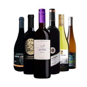 Kit Vinhos Rótulos Selecionados 6 Unidades