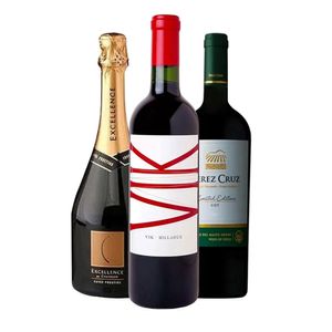 Kit com 3 Vinhos: Vinho Chileno Tinto Vik Millahue, Perez Cruz Limited Edition e Espumante Excellence 750ml Cada