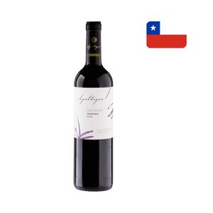 Vinho Tinto Chileno Seco APALTAGUA Gran Verano Carménérre Valle Centtral Garrafa 750ml