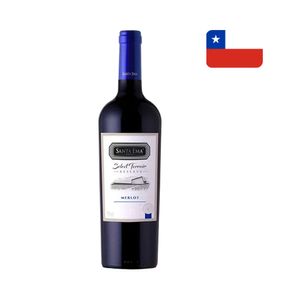 Vinho Tinto Chileno SANTA EMA Merlot Garrafa 750ml