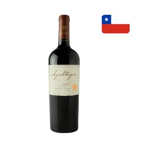 Vinho Tinto Chileno Apaltagua Malbec Garrafa 750ml