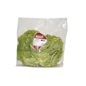 Alface Lisa PRONTO Pacote 160g