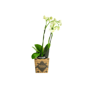 Flor Mini Orquidea 1 Unidade