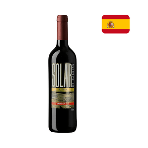 Vinho Tinto Espanhol Solar de Carrión Crianza Garrafa 750ml