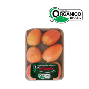 Tomate Italiano Orgânico Rio Bonito Bandeja 500g