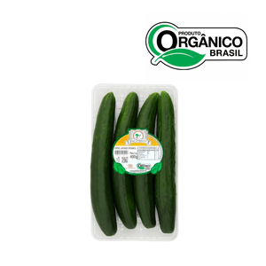Pepino Japonês Orgânico Bee Organic Bandeja 400g