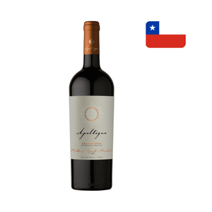 Vinho Tinto Chileno Maquis Gran Reserva Malbec Garrafa 750ml